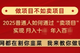 赚钱项目必看，做项目不如卖项目，2025普通人如何通过“卖项目”实现月入十个，年入百个02-03冒泡网