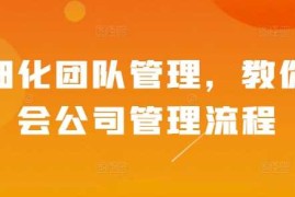 简单项目精细化团队管理，教你学会公司管理流程12-02冒泡网