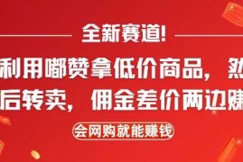 每日全新赛道，利用嘟赞拿低价商品，然后去闲鱼转卖佣金，差价两边赚，会网购就能挣钱12-30冒泡网