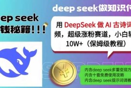 简单项目用DeepSeek做AI古诗词视频，超级涨粉赛道，小白轻松涨粉10W+(保姆级教程)03-17冒泡网