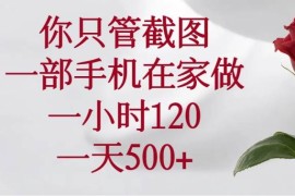 手机项目（14248期）你只管截图，一部手机在家做，一小时120，一天500+02-20中创网