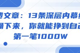 2025最新付费文章：13条深层内幕统统背诵下来，你就能挣到自己的第一笔1000W02-27冒泡网