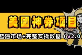 热门项目美团神券项目_入门级教程，外卖券膨胀推广项目(v2.0版教程)01-06冒泡网