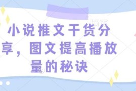 2024最新小说推文干货分享，图文提高播放量的秘诀01-03冒泡网