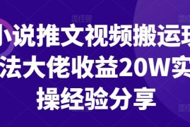 赚钱项目小说推文视频搬运玩法大佬收益20W实操经验分享10-09冒泡网