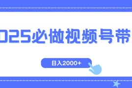 2025最新（14259期）视频号带货，纯自然流，起号简单，爆率高轻松日入2000+02-22中创网