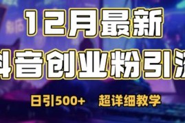 最新项目最新公开：12月份抖音日引500+创业粉秘籍12-06冒泡网