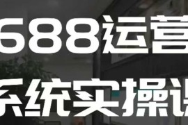 热门项目1688高阶运营系统实操课，快速掌握1688店铺运营的核心玩法01-06冒泡网