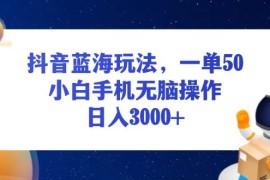 创业项目（13507期）抖音蓝海玩法，一单50，小白手机无脑操作，日入3000+11-29中创网