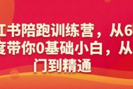 实战小红书陪跑训练营，从6大维度带你0基础小白，从入门到精通02-09冒泡网