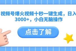 每天（14507期）视频号爆火视频十秒一键生成，日入3000+，小白无脑操作03-12中创网