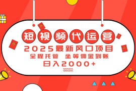 实战（14377期）2025最新风口项目：短视频代运营日入2000＋03-02中创网