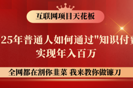 实战镰刀训练营超级IP合伙人，25年普通人如何通过“知识付费”年入百万！03-09福缘网