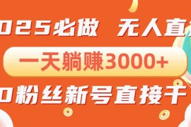 最新项目（13950期）抖音小雪花无人直播，一天躺赚3000+，0粉手机可搭建，不违规不限流，小&#8230;01-09中创网