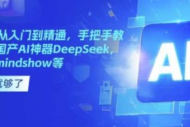 最新项目国产AI从入门到精通，手把手教你玩转国产AI神器DeepSeek，Kimi，mindshow等02-20冒泡网