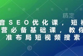 热门项目抖音SEO优化课，短视频运营必备基础课，教你精准布局短视频搜索01-22冒泡网