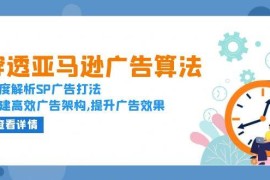 每天（13680期）穿透亚马逊广告算法，深度解析SP广告打法，搭建高效广告架构,提升广告效果12-15中创网