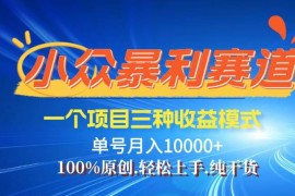 实战（14300期）【灵狐计划】视频号最新爆火赛道，三种收益模式，0粉新号条条热门原创&#8230;02-24中创网