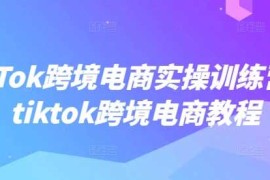 赚钱项目TikTok跨境电商实操训练营，tiktok跨境电商教程02-24冒泡网