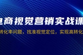 简单项目（13786期）电商视觉营销实战课，解决转化率问题，找准视觉定位，实现高转化目标12-24中创网