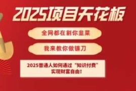 赚钱项目2025项目天花板普通人如何通过知识付费，实现财F自由【揭秘】03-10冒泡网