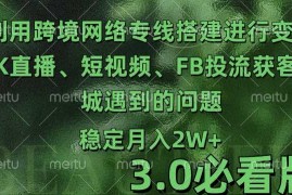 实战利用跨境电商网络及搭建TK直播、短视频、FB投流获客以及商城遇到的问题进行变现3.0必看版【揭秘】12-01冒泡网