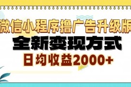 （13186期）微信小程序撸广告升级版，全新变现方式，日均收益2000+