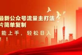 赚钱项目2025最新公众号流量主打法，美女图片简单复制，小白也能上手，轻松日入5张03-14冒泡网