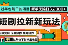 赚钱项目（13656期）过年也能干的项目，2024年底最新短剧拉新新玩法，批量无脑操作日入2000+！12-15中创网