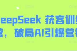 最新项目DeepSeek获客训练营，破局AI引爆营销03-09冒泡网