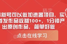 热门项目0粉新号可以做的加速器项目，实测首发作品收益100+，1分钟产出原创作品，简单好做03-17冒泡网