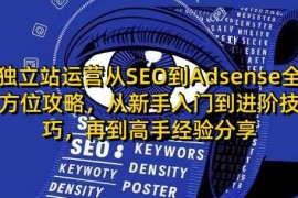 创业项目独立站运营从SEO到Adsense全方位攻略，从新手入门到进阶技巧，再到高手经验分享01-17冒泡网