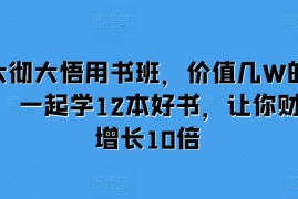 最新项目大彻大悟用书班，价值几W的课，一起学12本好书，让你财富增长10倍11-21冒泡网