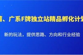 简单项目莆、广系F牌独立站精品孵化计划，新的玩法，提供思路、方向和行业经验12-22福缘网