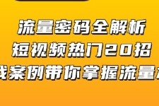 流量密码全解析，短视频热门20招，实战案例带你掌握流量本质VS抖音号运营