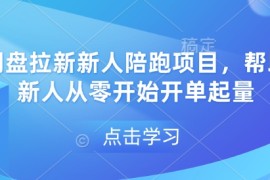 最新项目网盘拉新新人陪跑项目，帮助新人从零开始开单起量01-02冒泡网