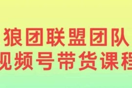 最新项目狼团联盟2024视频号带货，0基础小白快速入局视频号12-29冒泡网