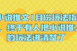 最新项目小说推文1月份玩法指南，终于有人把小说推文的玩法讲清楚了!01-06冒泡网