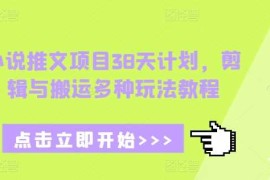 简单项目小说推文项目38天计划，剪辑与搬运多种玩法教程12-23冒泡网