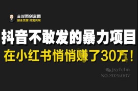 每日抖音不敢发的暴利项目，在小红书悄悄挣了30W03-13冒泡网