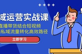 赚钱项目（13587期）私域运营实战课：直播带货结合短视频，解锁私域流量转化高效路径12-06中创网