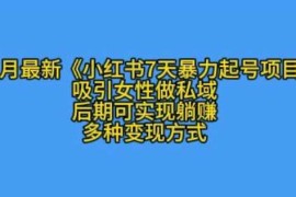 创业项目K总部落11月最新小红书7天暴力起号项目，吸引女性做私域【揭秘】11-21冒泡网