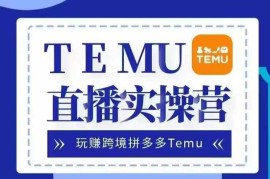 每日Temu直播实战营，玩赚跨境拼多多Temu，国内电商卷就出海赚美金11-08冒泡网