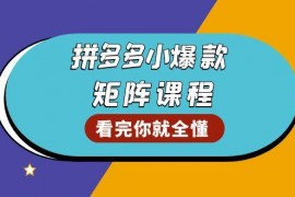 最新项目（13699期）拼多多爆款矩阵课程：教你测出店铺爆款，优化销量，提升GMV，打造爆款群12-17中创网