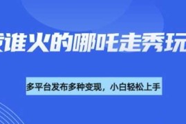 每天利用deepseek制作谁发谁火的哪吒2人物走秀视频，多平台发布多种变现02-28冒泡网