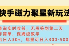 赚钱项目快手磁力新玩法，可查询实时收益，单机30+，批量可日入3到5张【揭秘】02-16冒泡网