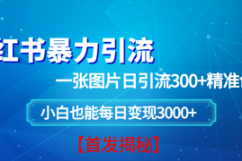 热门项目（13935期）小红书暴力引流法，一张图片日引300+精准创业粉，每日稳定变现3000+【揭秘】01-07中创网