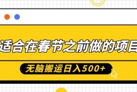 热门项目适合在春节之前做的项目，无脑搬运日入5张，0基础小白也能轻松月入过W11-29冒泡网