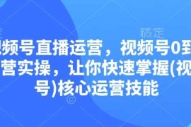 每天视频号直播运营，视频号0到1运营实操，让你快速掌握(视频号)核心运营技能12-30冒泡网