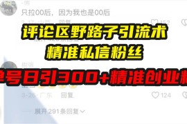 实战（13676期）评论区野路子引流术，精准私信粉丝，单号日引流300+精准创业粉12-15中创网